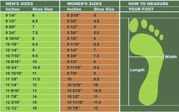 How should basketball shoes fit/  Shoe size graph